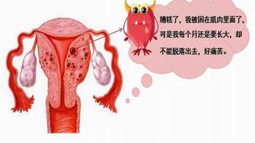广州靠谱供卵代孕价格|2023朔州三代试管婴儿生双胞胎费用明细一览，总共需要
