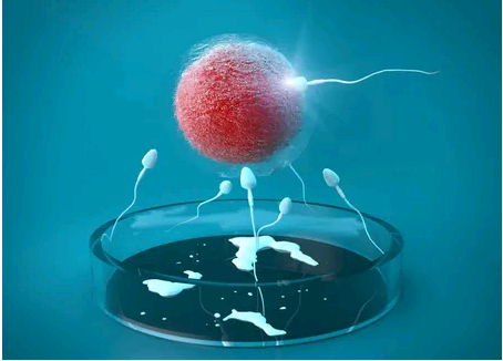 广州试管代孕对女性的影响|三亚供卵是第几代试管,三亚供卵试管助孕的费用