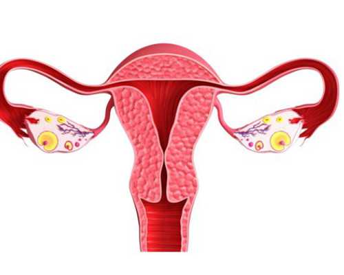 广州代孕生殖机构|微刺激方案流程过程是什么    试管微刺激方案适合大龄女性