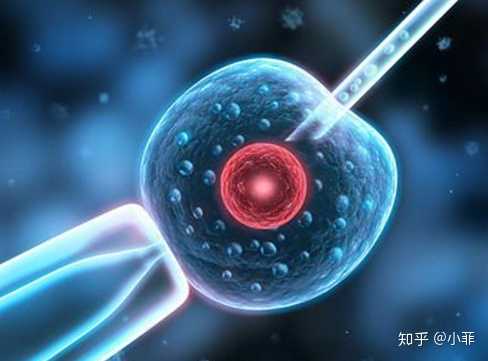 广州三大助孕公司坤和怎么联系,广州助孕机构有哪些？广州十月幸孕生殖中心