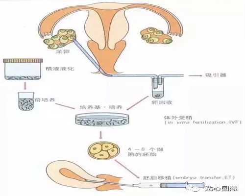 代孕月经还会来吗_广州8胞胎代孕机构