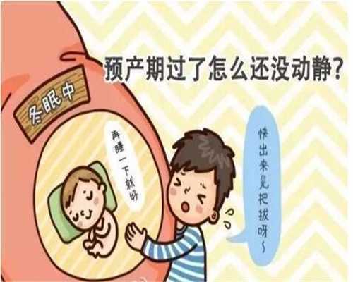 供卵试管成功率是多少_广州供卵试管合法吗_代孕生孩子是多少钱_最新代孕成功