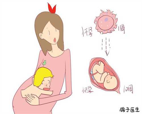 如何选择供卵女_广州哪个医院能做供卵试管_试管1代和2代的成功率怎么样