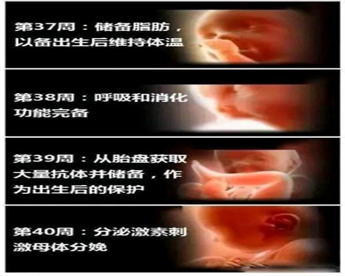 广州供卵可以用家里人的吗_广州私立医院做供卵靠谱吗_剖腹产捐卵试管的注意