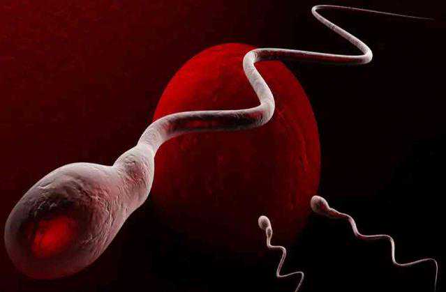 广州助孕中心官网 卵巢早衰可以在广州做供卵试管吗 ‘孕妇外观看男女的十大