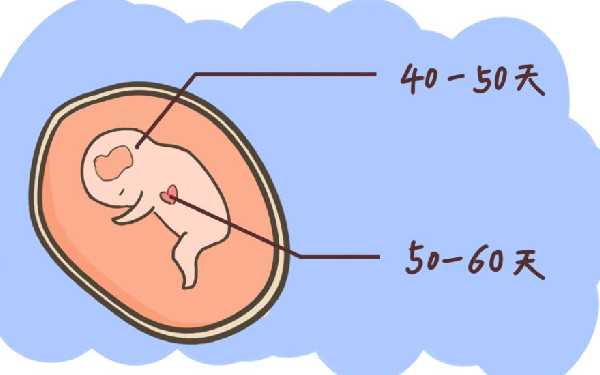 广州助孕价钱多少 在广州做精子分离术生男孩费用是多少？ ‘孕晚期b超单y和