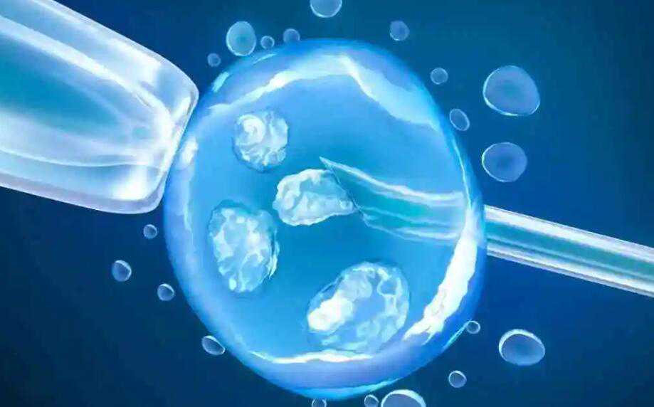 广州代孕最新价格 广州试管婴儿期间为何要对卵泡进行实时监测呢? ‘彩超和