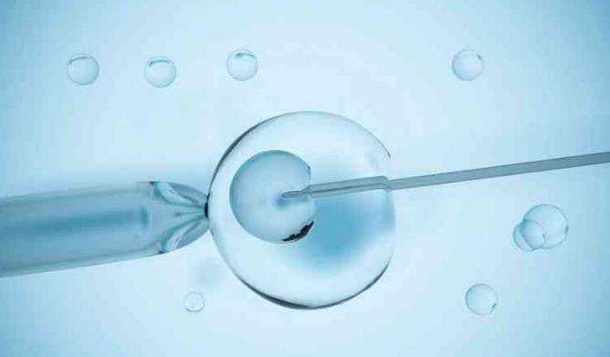 广州试管助孕包生儿子 广州市供卵试管费用明细 ‘孕囊3.0*4.2*3.5是男孩女孩’