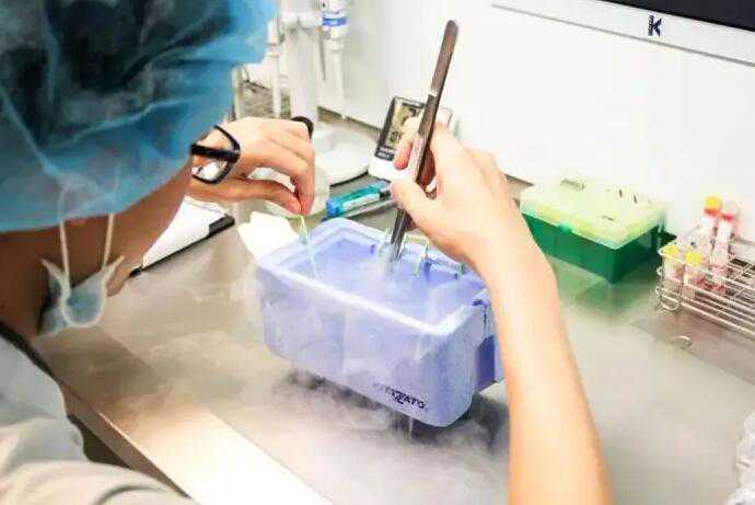 广州有几家做供卵试管 广州医科大学附属第三医院三代试管技术 ‘双顶径3.6股