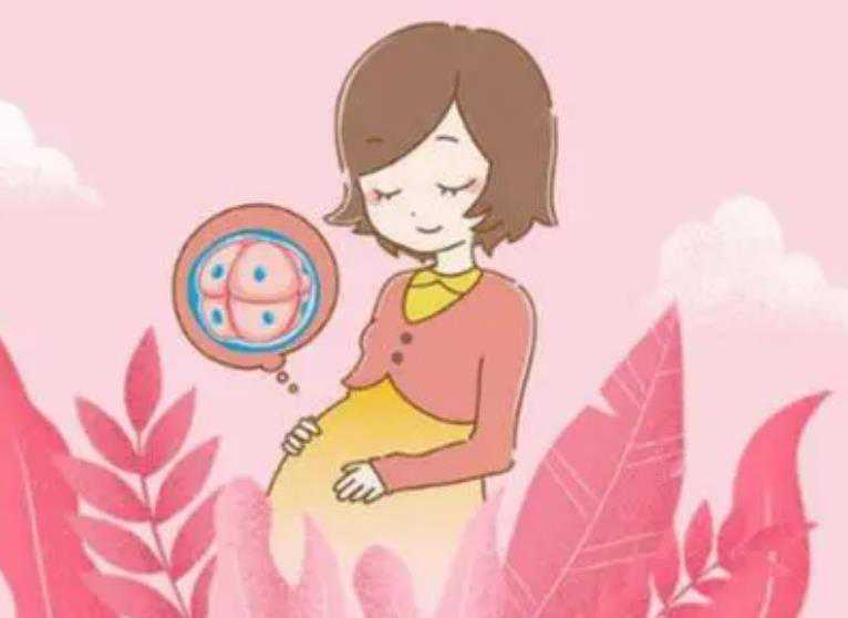 广州代生公司助孕 广州中山医院试管养囊收费标准： ‘已生女宝早期孕囊形状