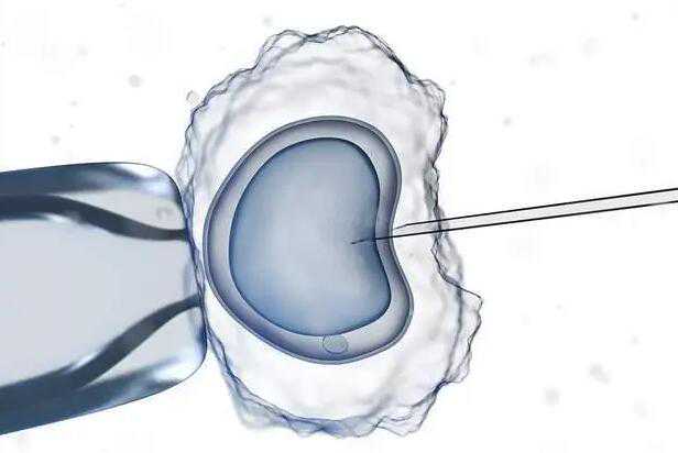 广州供卵试管能选性别吗 广州试管婴儿促排卵会加速女性卵巢衰老吗? ‘双顶径