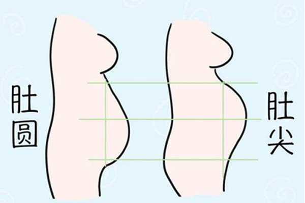 孕妇肚子尖和圆的区别是什么？肚子尖圆看男女准吗？